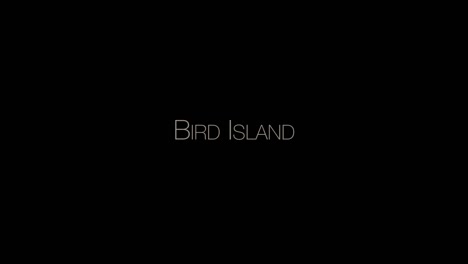 BIRD-ISLAND