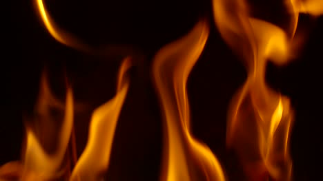 Fire-Background-Loop-2