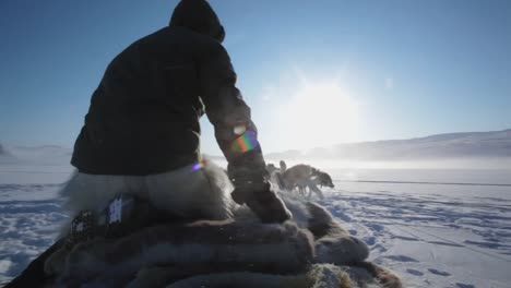 dogsledding-in-greenland