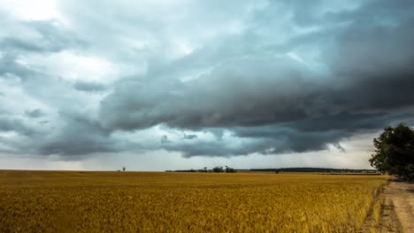 Goomalling-storm