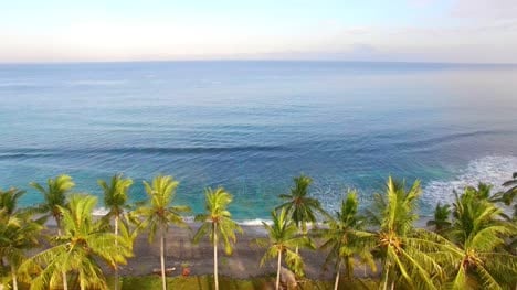 Flying-Over-Palm-Trees-and-Out-to-Sea