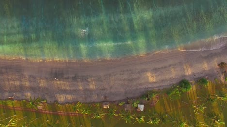 Flying-High-Over-Palm-Trees-and-Tropical-Beach