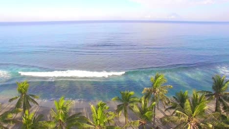 Raising-Up-Over-Palm-Trees-on-Beach