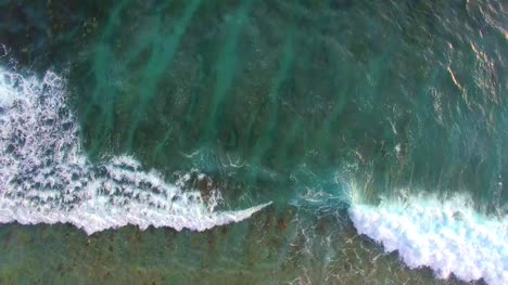 Flying-Over-Coral-Reef-in-Clear-Ocean