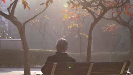 Reveal-Shot-of-Man-Sat-on-Park-Bench