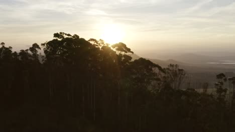 Sunset-With-Trees-In-Foreground