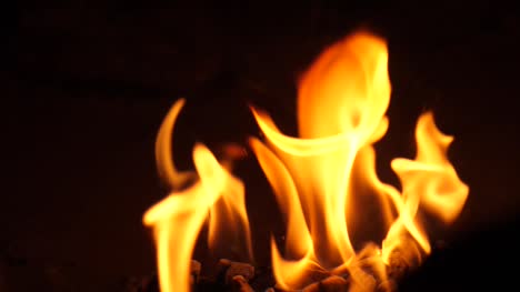 Flames-Close-Up