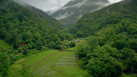 Lush-Green-Valley-Thailand