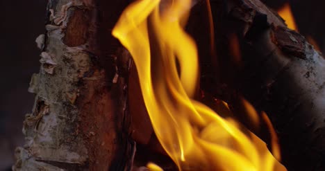 Burning-Logs-Slow-Motion-4K-03