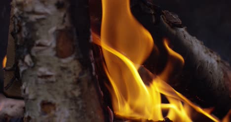 Burning-Logs-Slow-Motion-4K-07