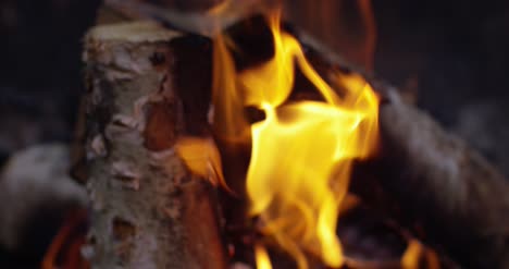 Burning-Logs-Slow-Motion-4K-10