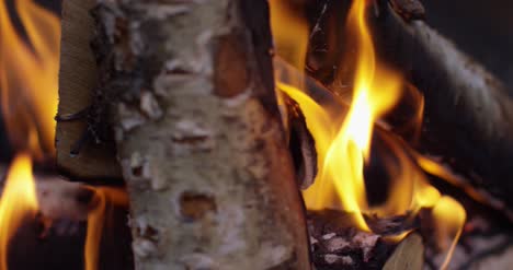 Burning-Logs-Slow-Motion-4K-11