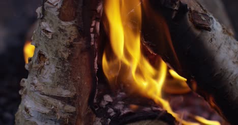 Burning-Logs-Slow-Motion-4K-12